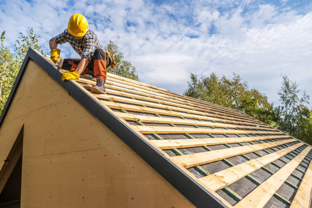Best Metal Roofing Contractor  in Brice Prairie, WI